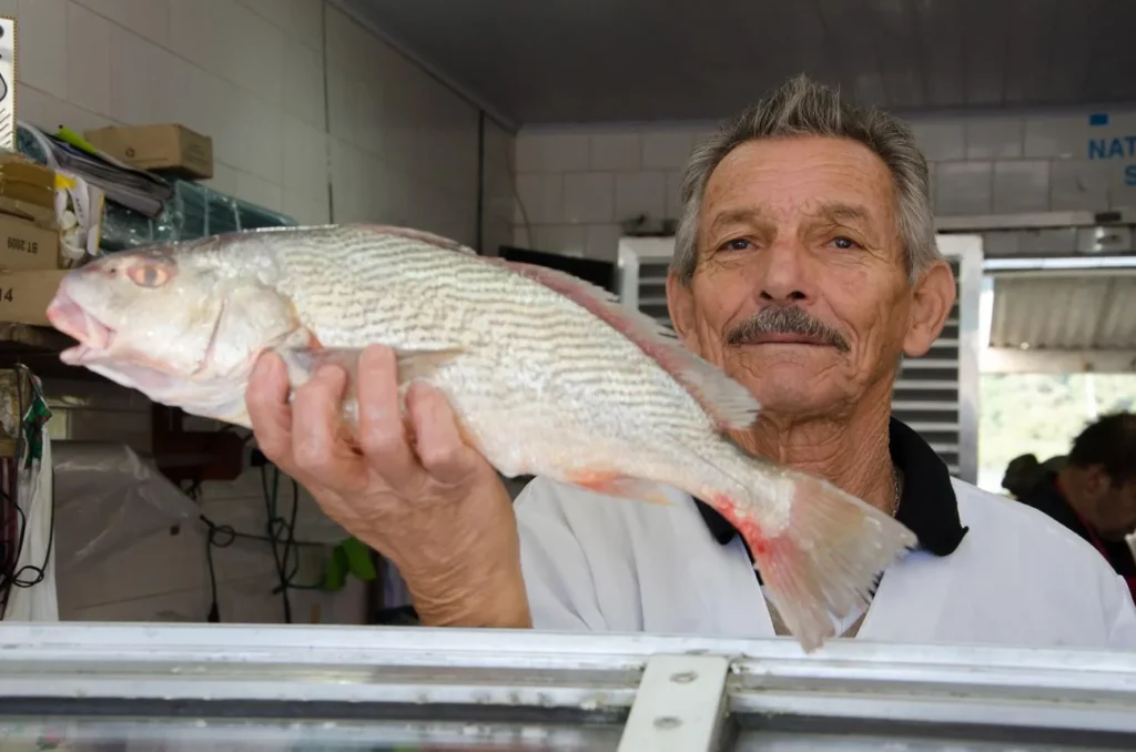 Elderly man in a fish market proudly holds a large, fresh fish above the counter, showcasing his catch with a smile