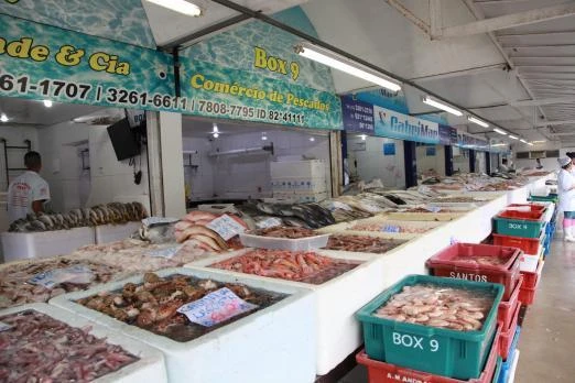 Fish market with fresh seafood displayed in ice-filled trays under Box 9 sign. Various fish, shrimp, and shellfish are visible
