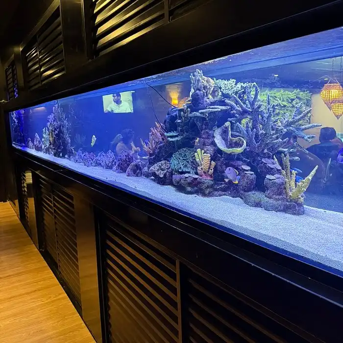 Large aquarium with vibrant coral and colorful fish, set in a dimly lit room with a wooden floor and a TV screen in the background.
