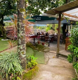Outdoor café with green canopy, surrounded by lush plants and trees, patrons seated at tables enjoying a relaxed atmosphere.