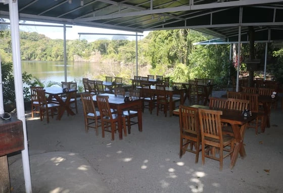 Outdoor cafe with wooden tables and chairs under lush trees, dappled sunlight, and a serene atmosphere. A person sits alone._1
