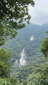 A long-distance, vertical shot of a white mountain waterfall cascading down through a heavily forested green valley, framed by tree leaves in the foreground with misty, fog-covered peaks in the background.