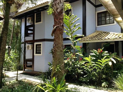 Exterior view of a light blue residential building with dark brown wooden structural framing, small windows, and a white air conditioning unit, surrounded by lush tropical plants and a tall palm tree in the sunny front yard.
