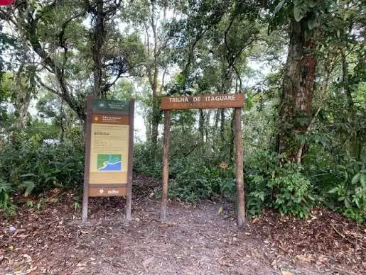 Wooden sign reading "Trilha de Itaguaré" standing among lush green forest leaves, next to a brown information board featuring a trail map, marking the start of a hiking pathway.