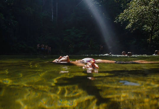 A person lying on their back, floating in a dark pool of water, illuminated by a dramatic ray of sunlight breaking through the canopy in a deep, misty forest.