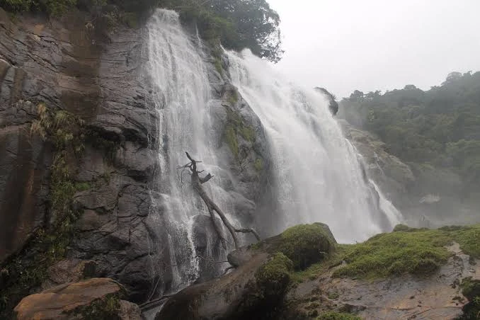 A close-up view of a wide, heavy waterfall pouring down over dark, jagged rock faces covered in patches of green moss, with a gnarled, exposed tree branch clinging to the wet cliffside. The scene has an overcast, misty atmosphere.