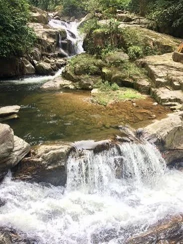 A breathtaking landscape view of a tall, thin waterfall dropping straight down into a deep, green canyon surrounded by steep, rugged cliffs made of reddish-brown stone, topped with a thick plateau of dense green forest.
