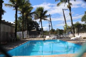 A rectangular blue-tiled outdoor swimming pool set in a sunny courtyard, surrounded by tall, slender palm trees and white lounge chairs, with a clear blue sky dotted with white clouds overhead.