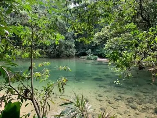 A dynamic summer scene showing several people wading and swimming in a deep, mossy, green-and-blue pool. The water flows down a wide, stepped rocky waterfall in the background, all framed by a dense, verdant forest canopy and a glimpse of blue sky.