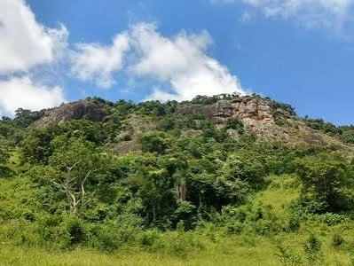 A wide landscape shot of a rolling hill leading up to a steep, rocky ridge. The hillside is lush with green vegetation and trees, with a large section of bare, textured stone exposed near the peak under a vibrant blue sky with cloud formations.