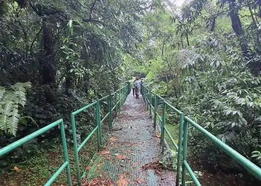 Visitors walking along a damp, elevated metal catwalk with green handrails, surrounded by dense, green rainforest vegetation and ferns along the Itaguaré hiking route.