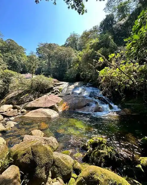 Two people swimming and standing in a deep, stunningly clear green natural pool, surrounded by towering trees, hanging vines, and large tropical ferns under dappled sunlight.