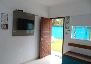 A bright room with white painted block walls, featuring a large wall-mounted TV with a reflective screen, a wooden door left open to reveal the vibrant turquoise outdoor wall and lawn, a small wooden bench with a blue cushion, and a window looking out to the patio.