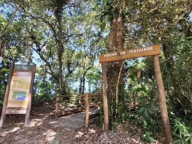Detailed view of the "Trilha de Itaguaré" wooden signpost and a small rustic wooden bridge crossing a ditch, set against a backdrop of tall trees and an informational trail map board.