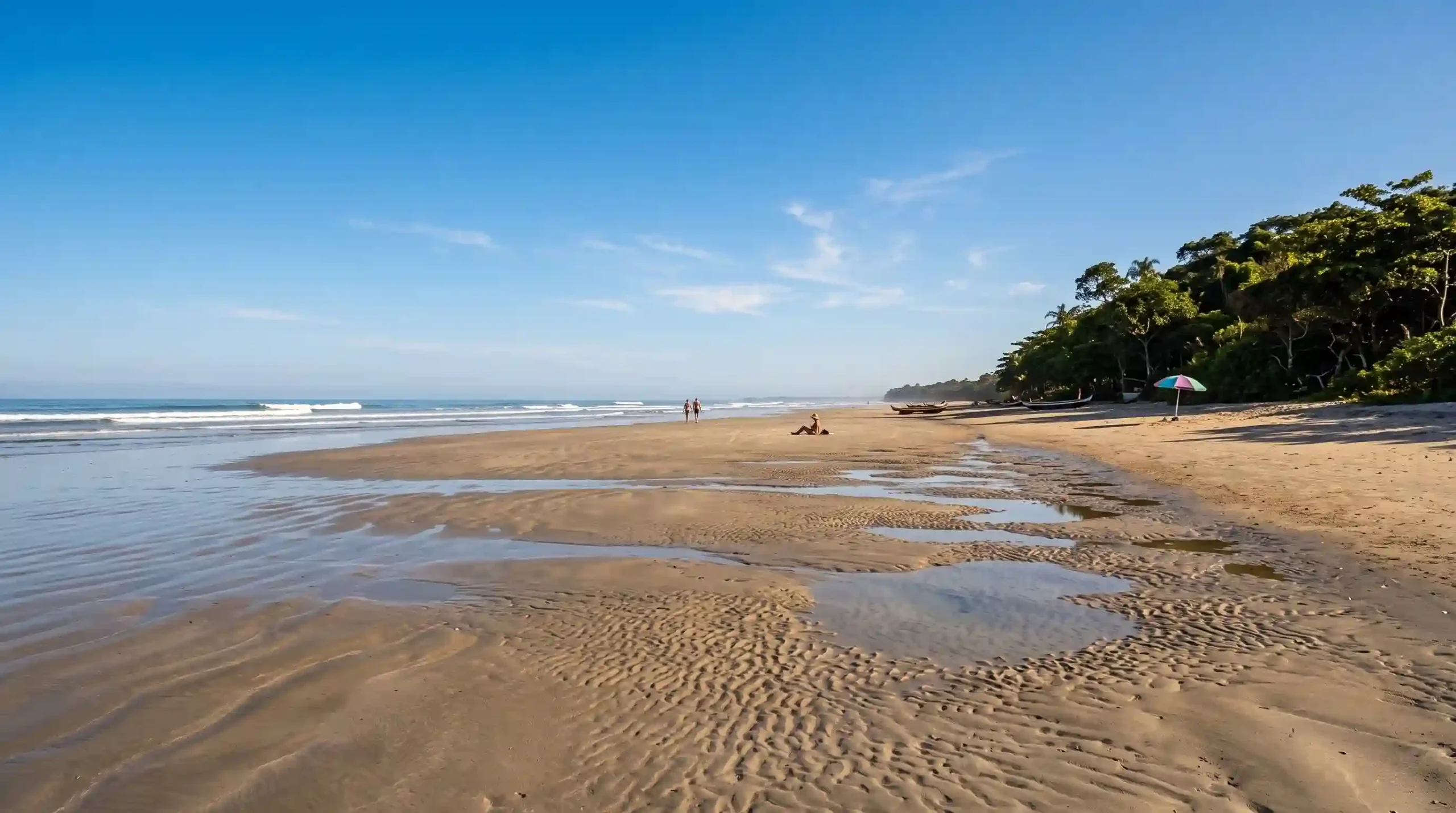 A sandy beach lined with palm trees, with clear blue water gently lapping at the shore under a bright sky.