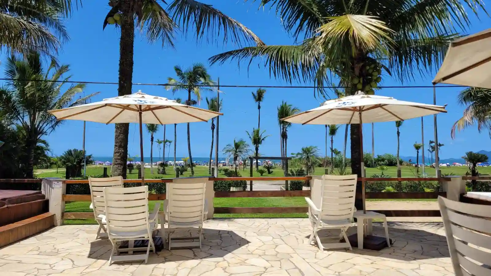 Sunny beachfront patio with white lounge chairs and umbrellas, offering a direct view of the ocean, palm trees, and a lush green lawn.