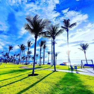 Vibrant view of a lush green park lined with tall palm trees casting long shadows on the grass, with a bright blue sky, fluffy clouds, and the ocean in the background.