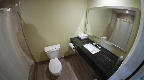 Wide-angle view of a modern hotel bathroom featuring a dark countertop, white sink, large mirror, toilet, and wood-look flooring.