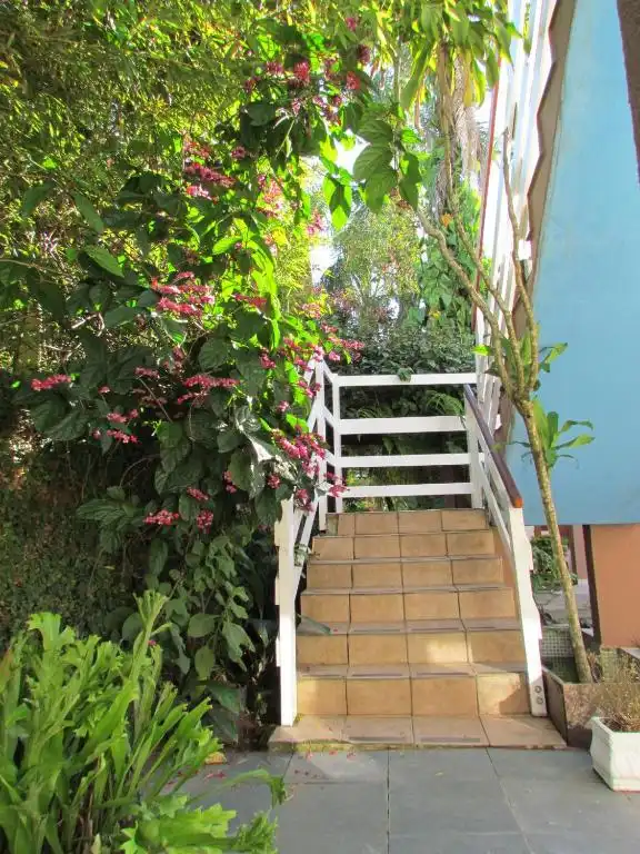 Low-angle view of a tiled outdoor staircase with a white railing, flanked by dense tropical foliage and vibrant pink flowering plants on a bright, sunny day.