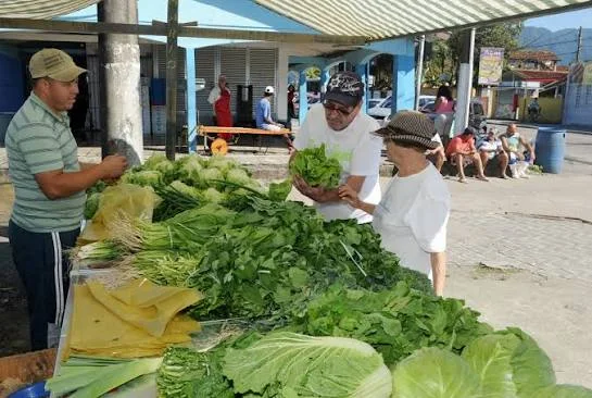 A farmer in a striped shirt handing a bunch of fresh leafy greens to a customer at a sunny, open-air market stall under a canopy.