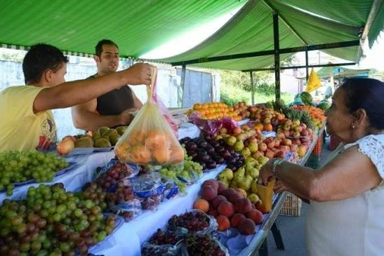 A vendor handing a bag of fresh oranges over a produce stand filled with green grapes, peaches, and apples under a green canopy.