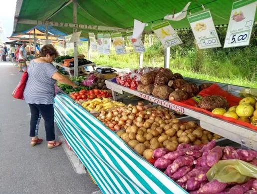 An outdoor market stall with green and white striped walls, displaying various potatoes, onions, carrots, and sweet potatoes with hanging paper price tags.
