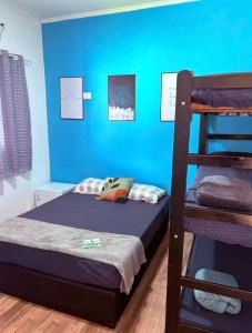A bright bedroom with a blue accent wall, a double bed, and a wooden bunk bed frame with dark bedding.
