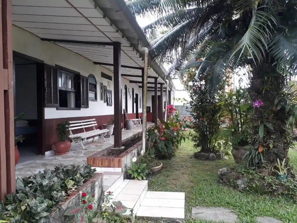Inviting guesthouse veranda with wooden pillars, a white bench, potted plants, and a lush tropical garden with palm trees.