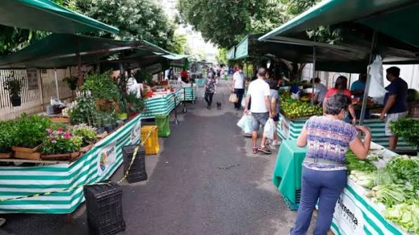 A shaded outdoor market aisle featuring green and white striped vendor tents, lush potted plants, fresh produce, and pedestrians walking down the center path.
