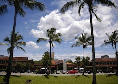 A sunny daytime view of a shopping mall entrance, characterized by tall palm trees, red-tiled roofs, and a clear blue sky with fluffy clouds.